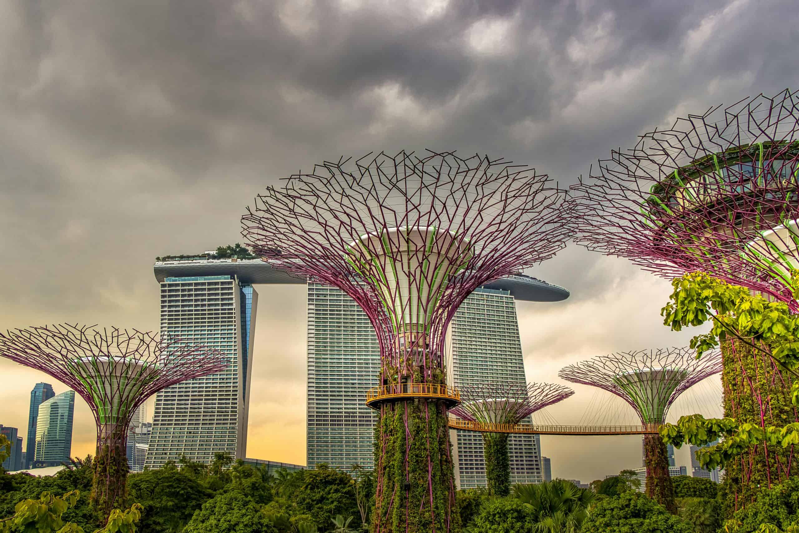 Gardens by the Bay Supertrees and Marina Bay Sands in Singapore, illustrating Singapore tax residency