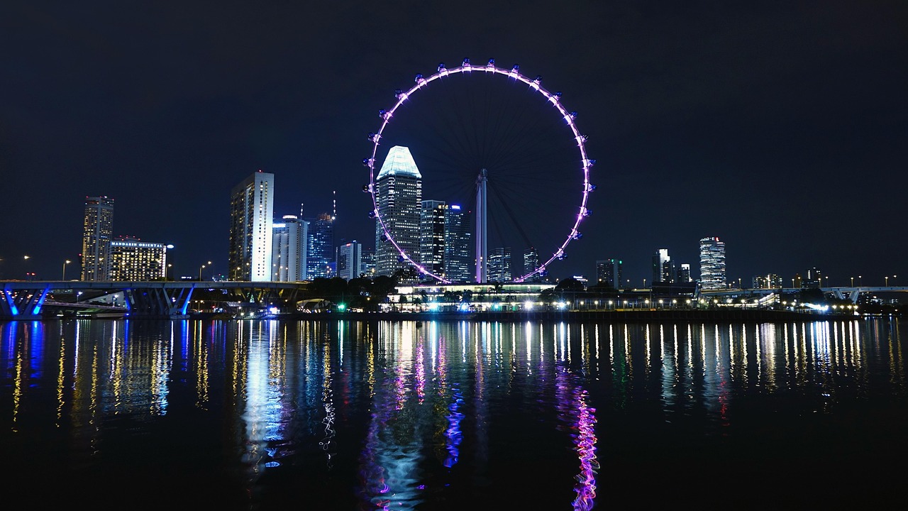 Singapore Flyer illuminated at night representing PayPal Singapore for business operations